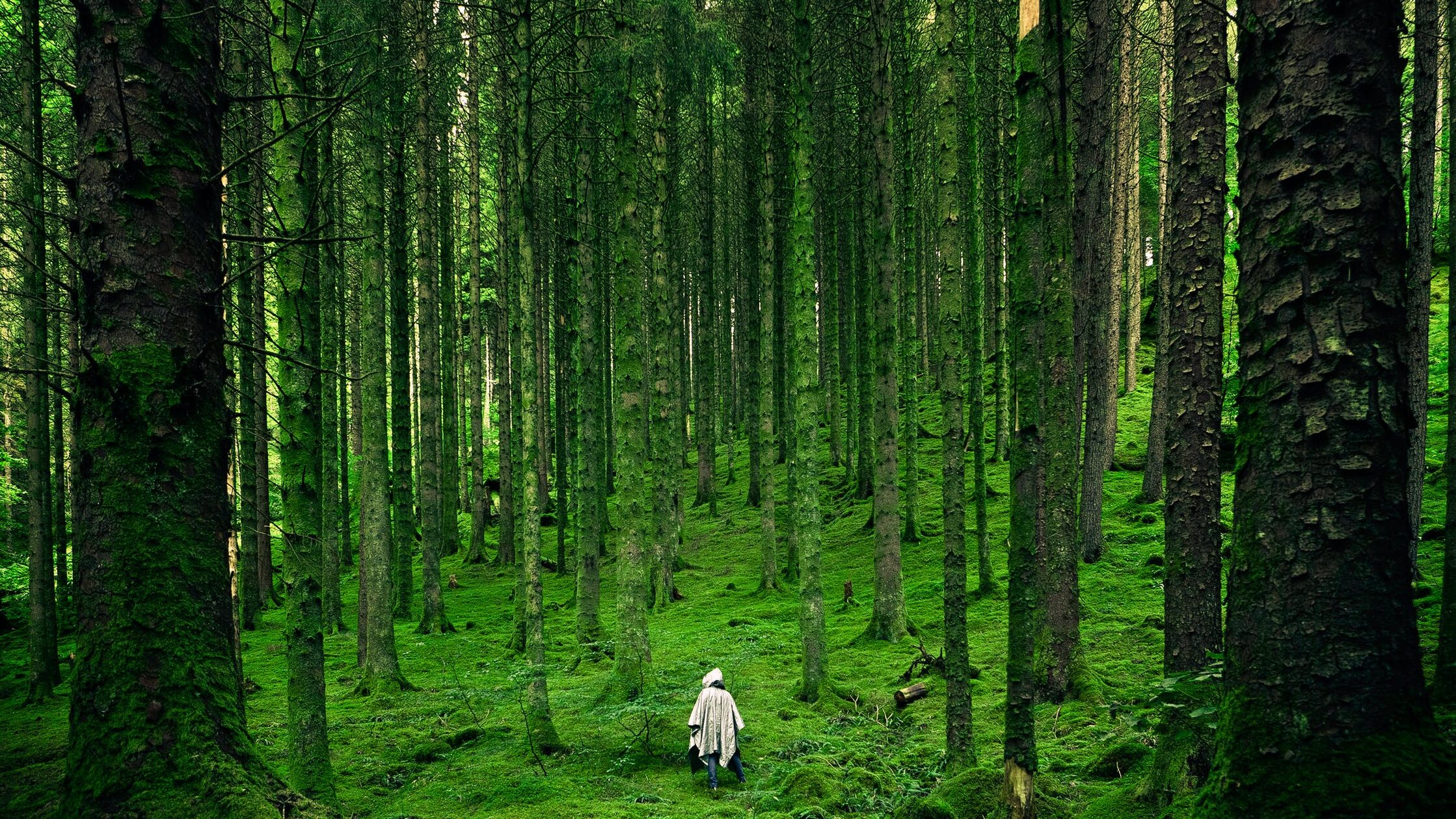 子供が欲しくないのっておかしい 欲しいと思えない 女性やめんどくさいからいらない という考えに子育てをしてるから思うことを綴ってみた 新米パパの子育て奮闘記 パパによる子育てブログ