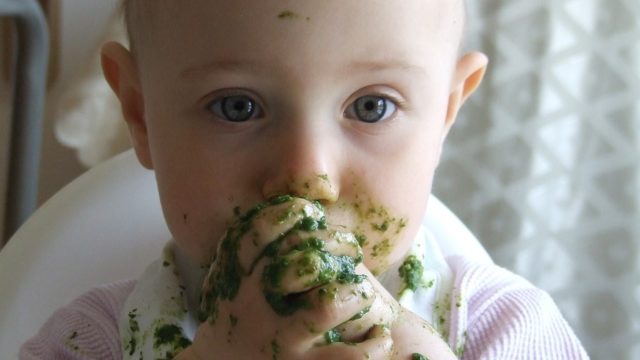 離乳食時のひっくり返らない食器 お皿 のおすすめは Ezpz イージーピージー レビュー記事 新米パパの子育て奮闘記 パパによる子育てブログ