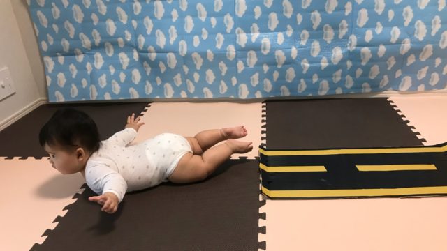 赤ちゃんのおもちゃのボール落としはいつから できない くもんがいい おすすめは などなど調べてみた 新米パパの子育て奮闘記 パパによる子育てブログ