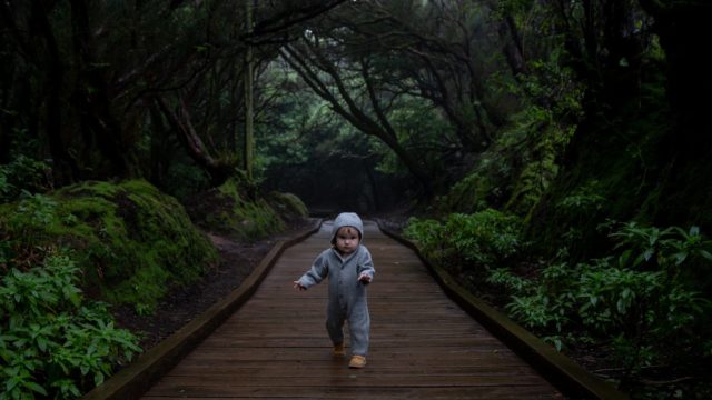 赤ちゃん 自分 の 髪の毛 引っ張る 髪を引っ張っ て困っています １ ２歳 ちょい先パパママの体験談 アドバイス お悩み相談 体験談 イクちゃんネット