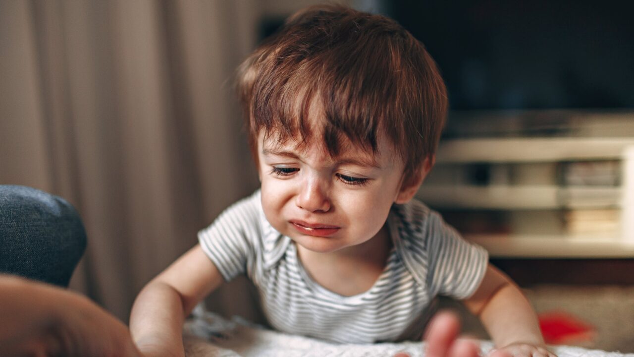 2歳児・3歳児がすぐ泣くようになった…これって…わがまま？発達障害？など気になることを調べてみた！のイメージ画像1